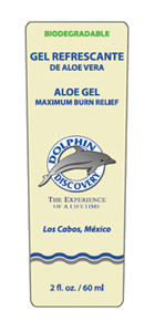 Dolphin Discovery Cabo