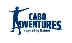 Cabo Adventures