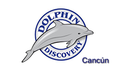 Dolphin discovery Cancun