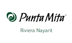 Dolphin Discovery Vallarta